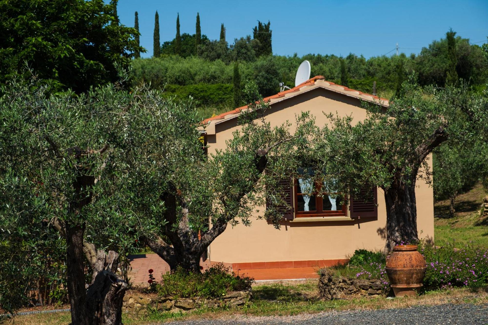 Agriturismo I Cerroni มอนเตสกูดาโย ภายนอก รูปภาพ