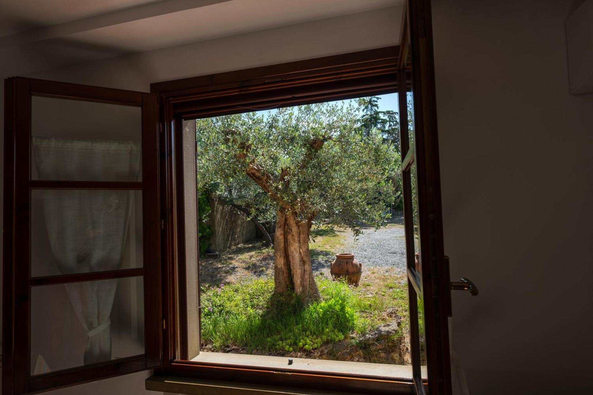 Agriturismo I Cerroni มอนเตสกูดาโย ภายนอก รูปภาพ